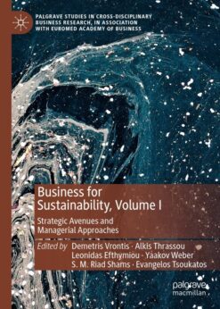 Business for Sustainability, Volume I: Strategic Avenues and Managerial Approaches eBook
