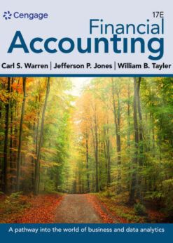 Financial Accounting: The Impact on Decision Makers, 17th Edition eBook