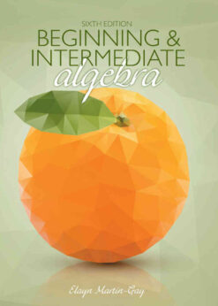 Beginning & Intermediate Algebra, 6th Edition eBook