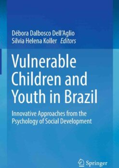 Vulnerable Children and Youth in Brazil: Innovative Approaches from the Psychology of Social Development eBook