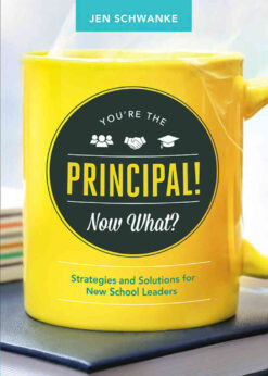 You're the Principal! Now What?: Strategies and Solutions for New School Leaders eBook