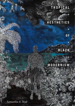 Tropical Aesthetics of Black Modernism eBook