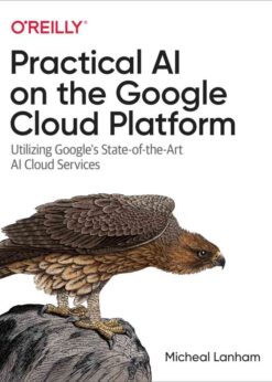 Practical AI on the Google Cloud Platform, 1st Edition eBook