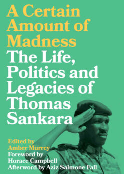 A Certain Amount of Madness: The Life, Politics and Legacies of Thomas Sankara, 1st Edition eBook